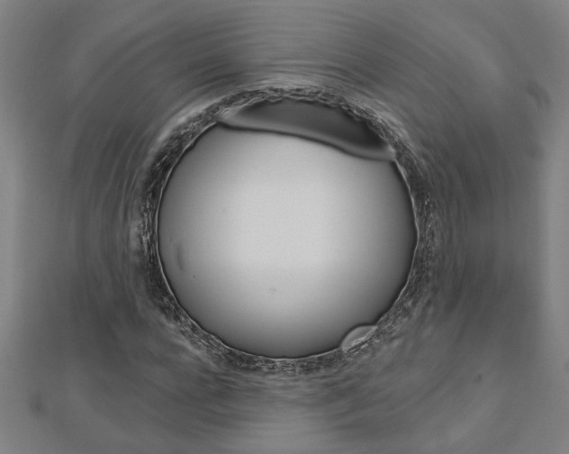 X0000112980920200908270915