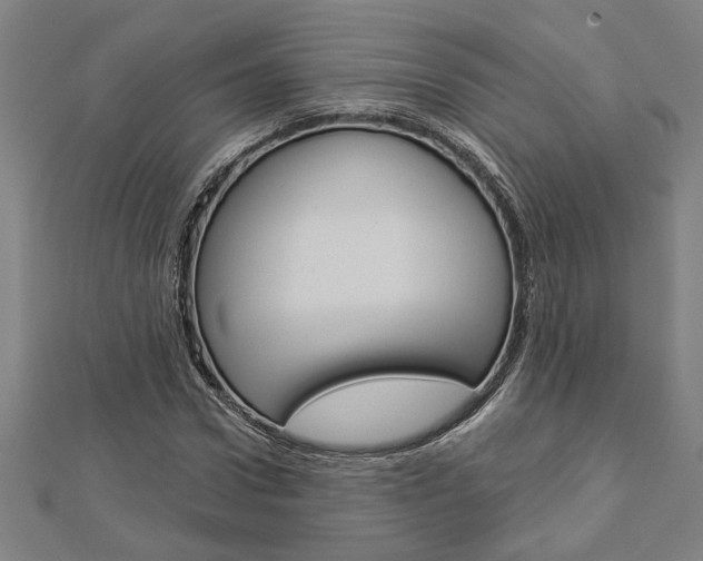 X0000112980922200908270915