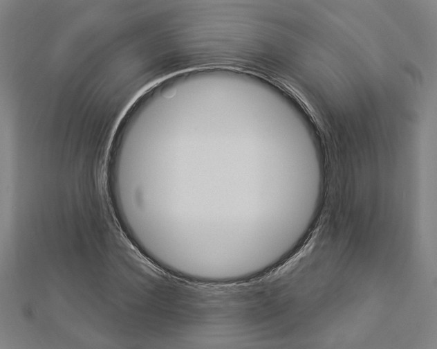 X0000112980924200908270915