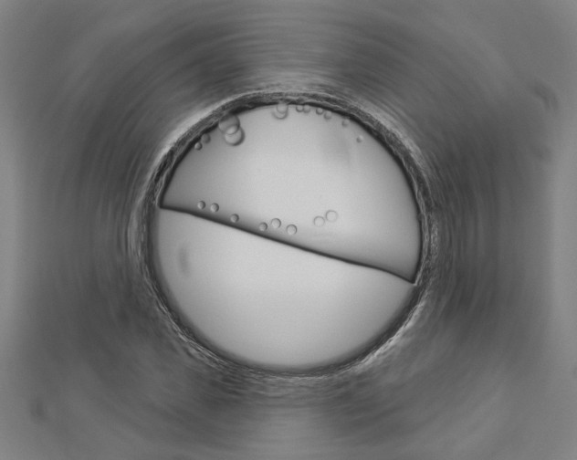 X0000112980925200908270915