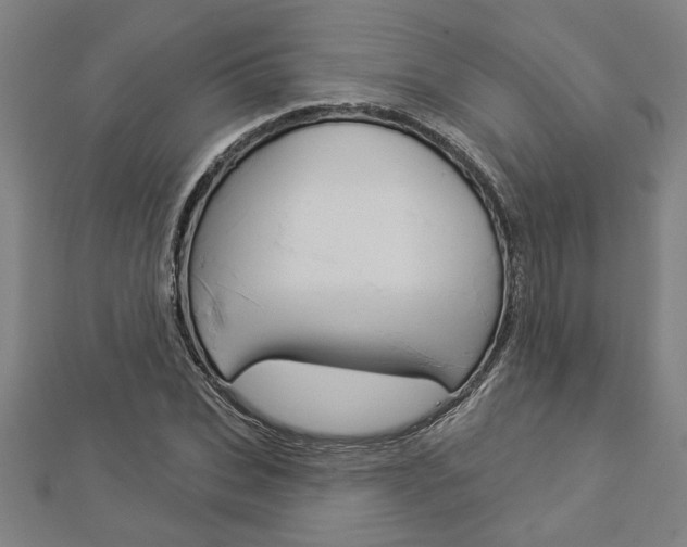X0000112980927200908270915