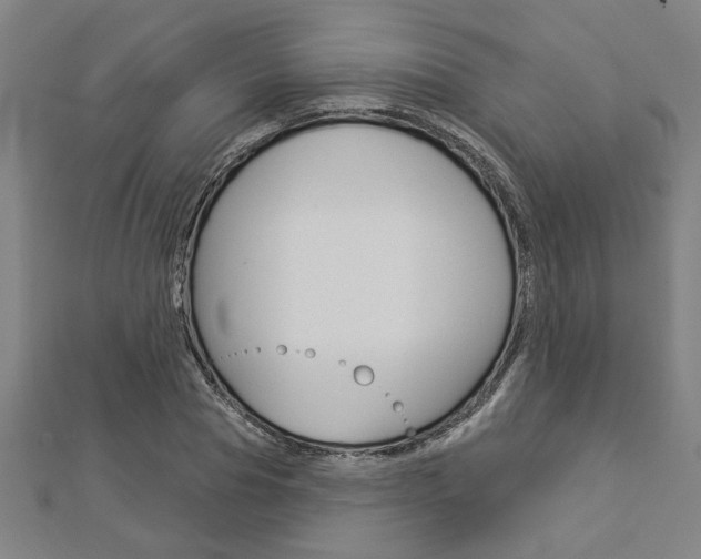 X0000112980929200908270915