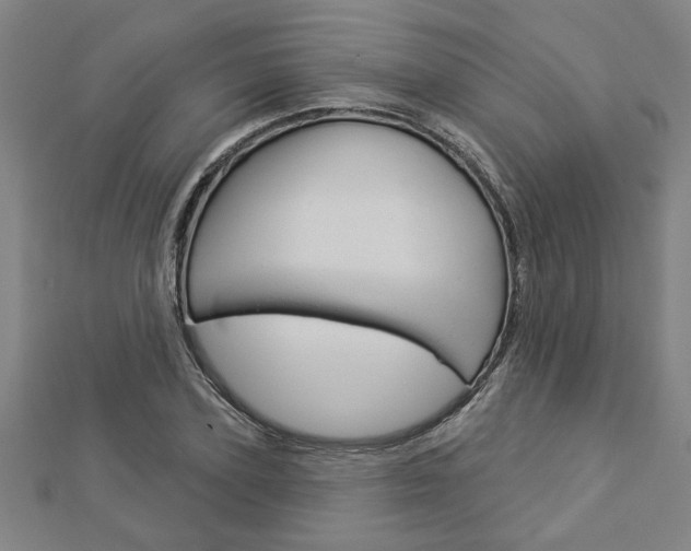 X0000112980931200908270915