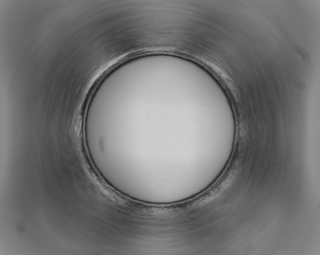 X0000112980933200908270915