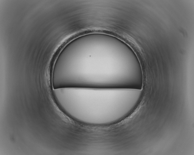 X0000112980934200908270915