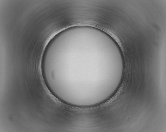 X0000112980936200908270915