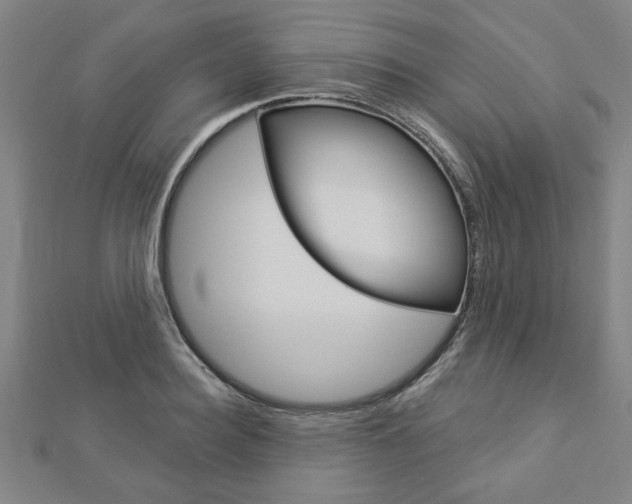 X0000112980940200908270915