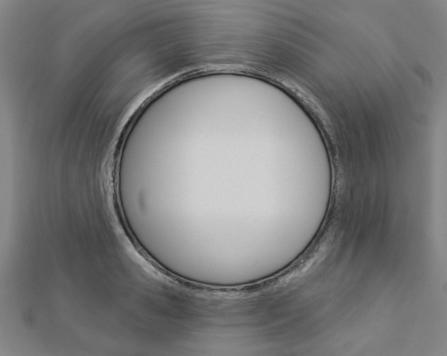 X0000112980941200908270915