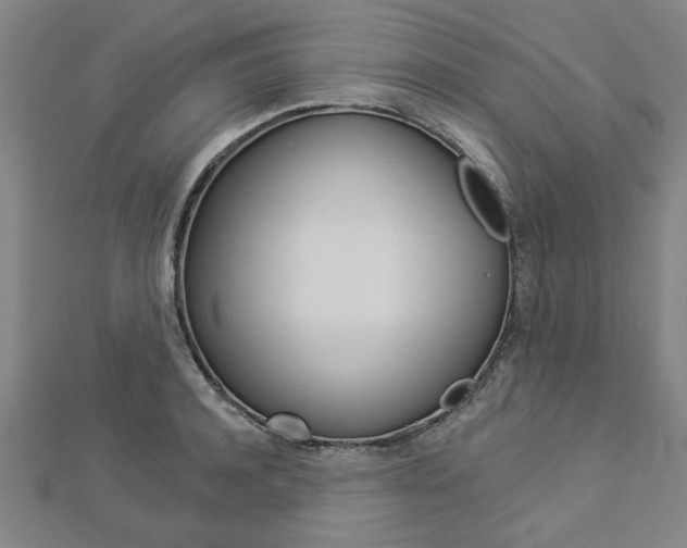 X0000112980944200908270915