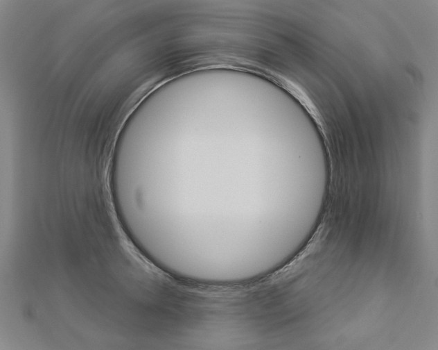 X0000112980946200908270915