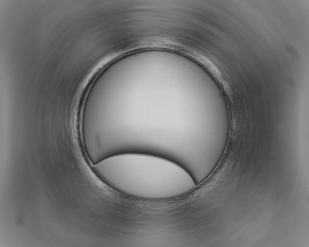 X0000112980947200908270915