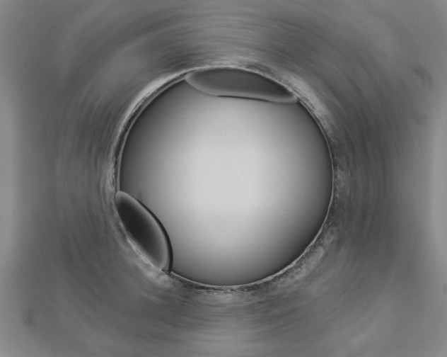 X0000112980948200908270915
