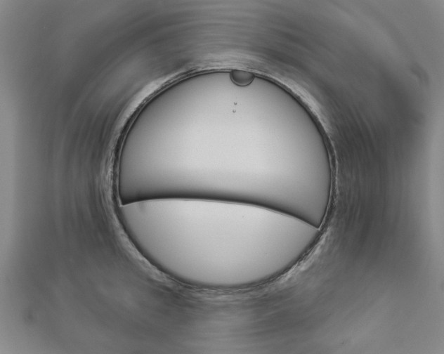 X0000112980949200908270915