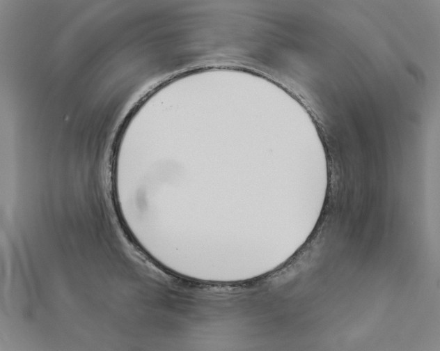 X0000112980950200908270915