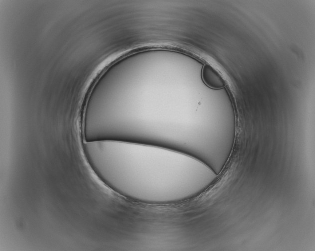 X0000112980951200908270915