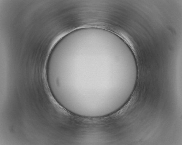 X0000112980952200908270915