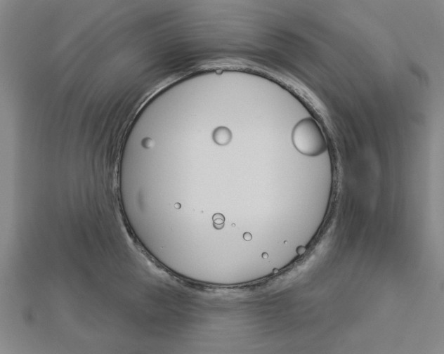 X0000112980953200908270915