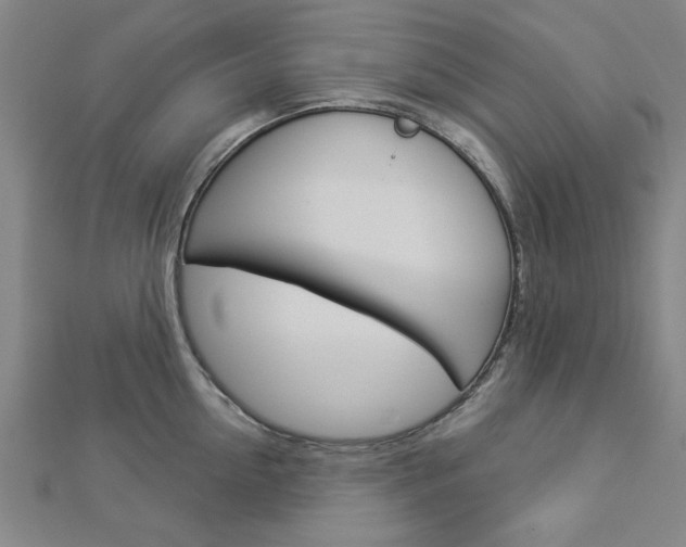 X0000112980954200908270915
