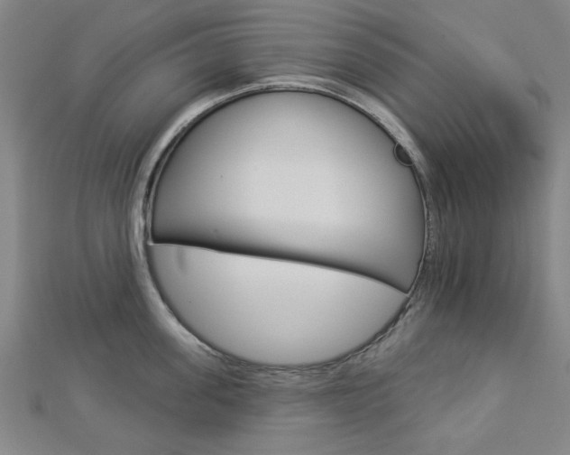 X0000112980955200908270915