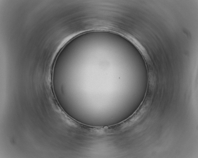 X0000112980956200908270915