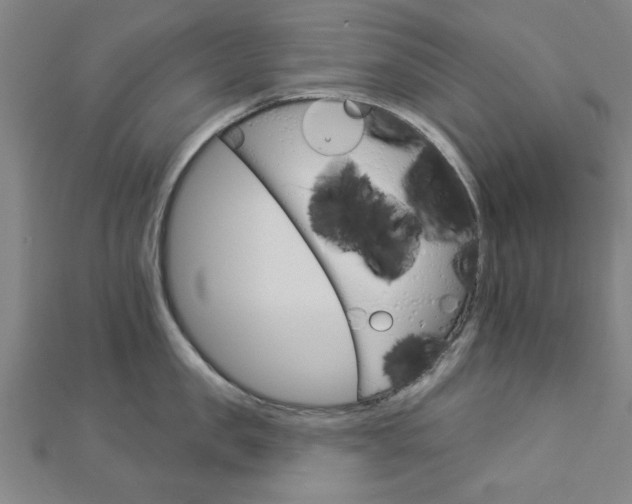 X0000112980957200908270915