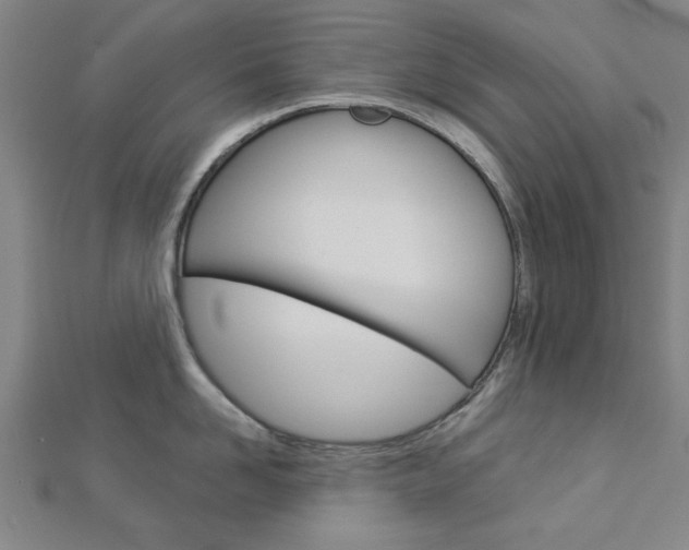 X0000112980958200908270915