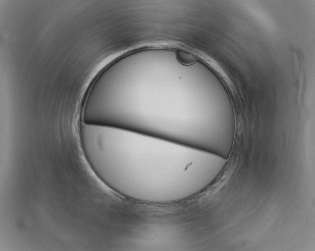 X0000112980959200908270915