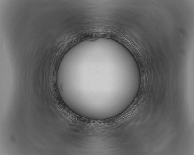 X0000112980961200908270915