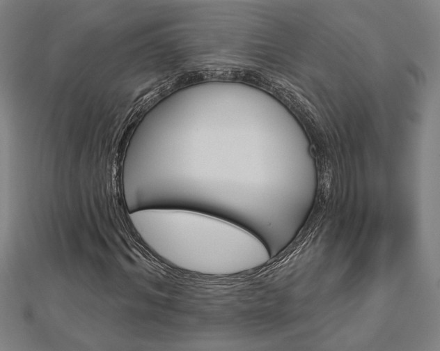 X0000112980964200908270915