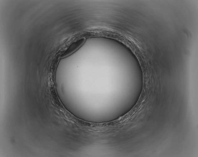 X0000112980965200908270915