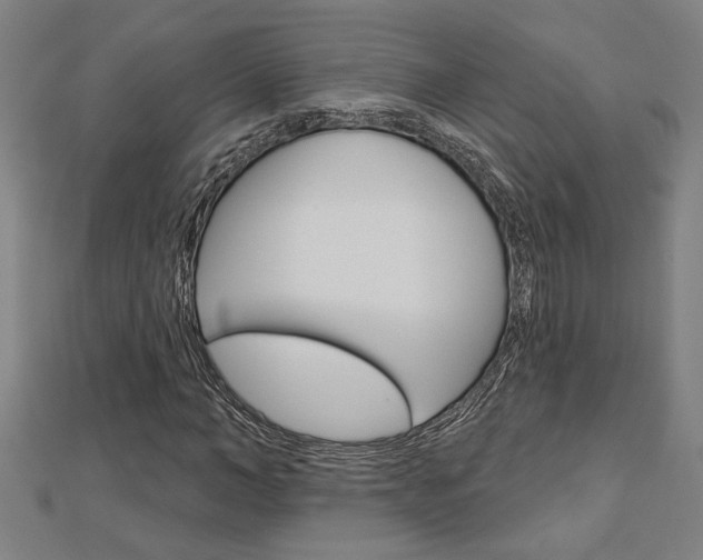 X0000112980966200908270915
