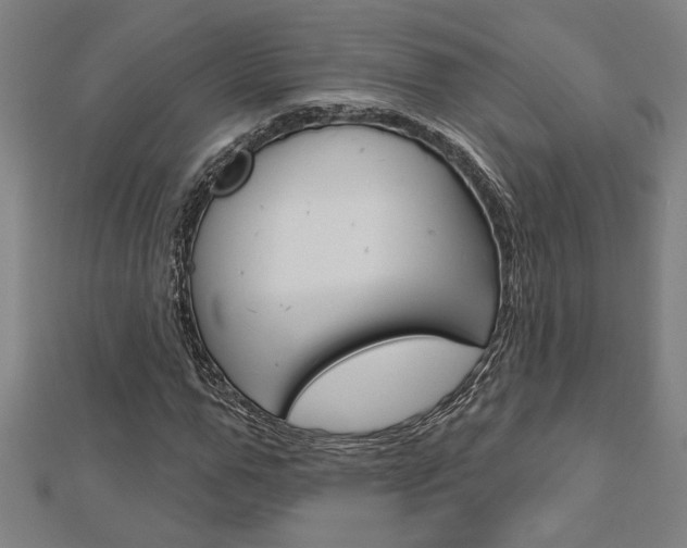 X0000112980967200908270915