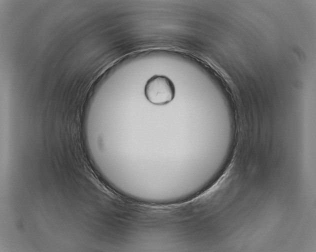 X0000112980969200908270915