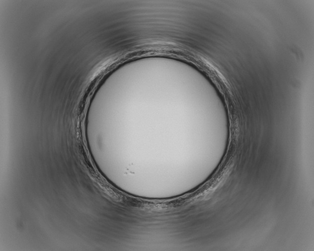 X0000112980970200908270915
