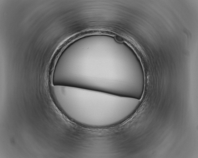 X0000112980972200908270915
