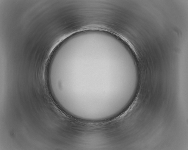 X0000112980973200908270915