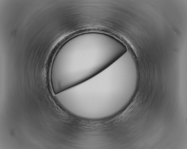 X0000112980975200908270915