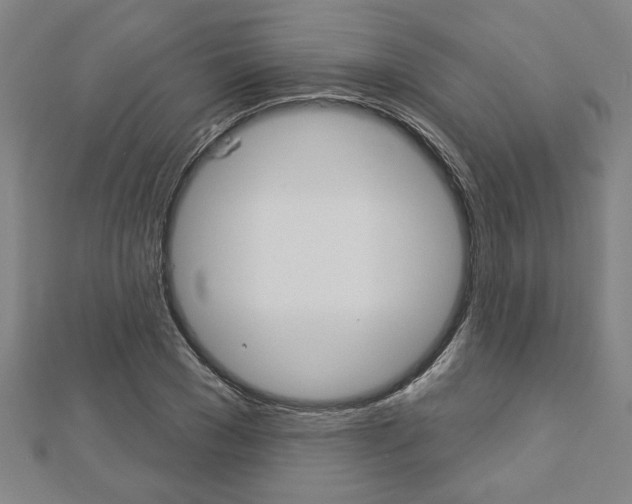 X0000112980977200908270915