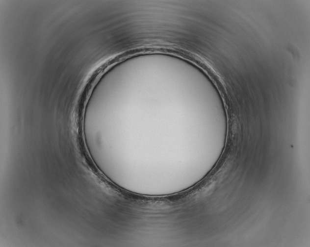 X0000112980979200908270915