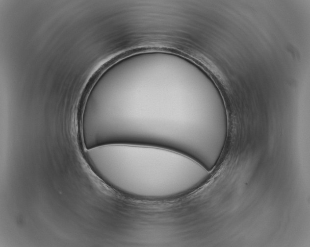 X0000112980980200908270915