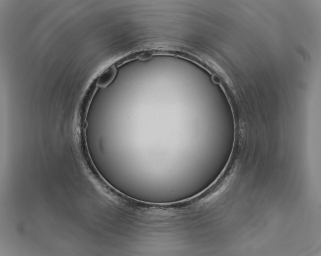 X0000112980981200908270915