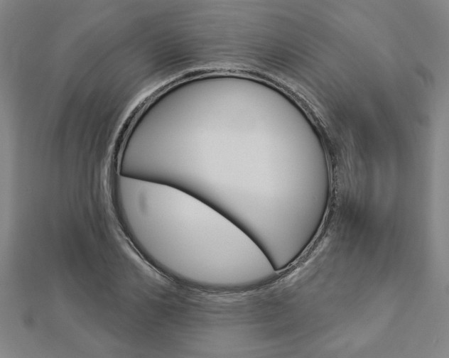 X0000112980982200908270915