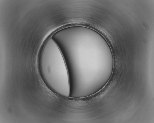X0000112980983200908270915
