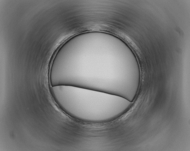 X0000112980986200908270915