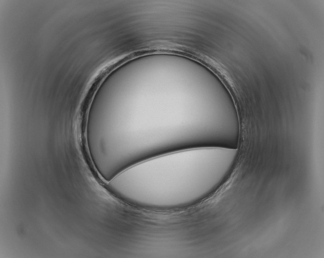 X0000112980987200908270915