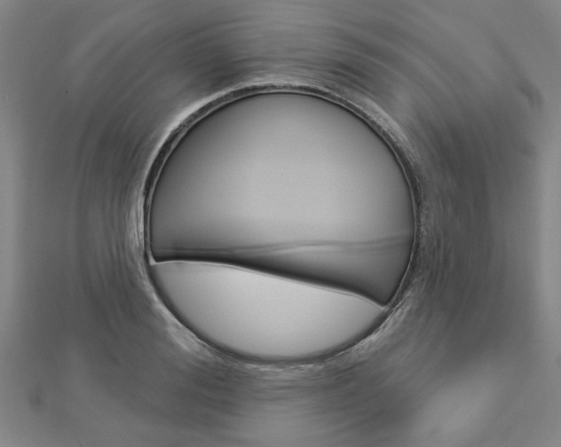 X0000112980988200908270915
