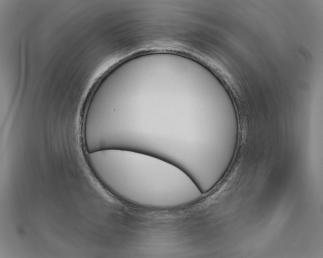 X0000112980990200908270915