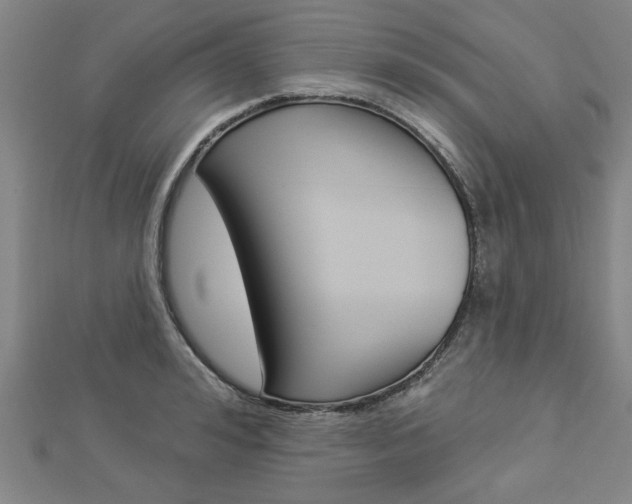 X0000112980992200908270914