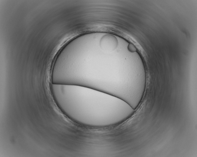 X0000112980994200908270914