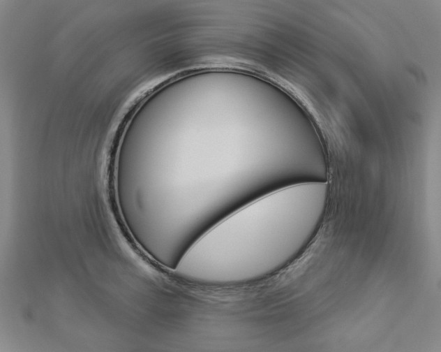 X0000112980995200908270914